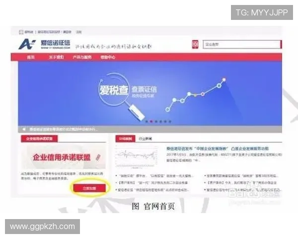 爱游戏平台会员注册过程中常见错误及避免方法总结